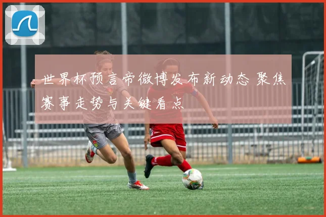 世界杯预言帝微博发布新动态 聚焦赛事走势与关键看点