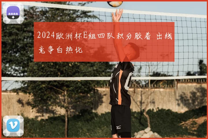 2024欧洲杯E组四队积分胶着 出线竞争白热化