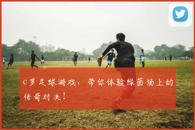 c罗足球游戏，带你体验绿茵场上的传奇对决！