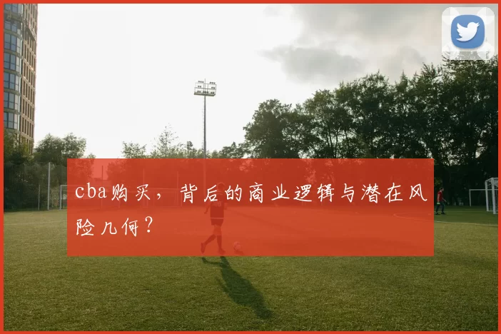 cba购买，背后的商业逻辑与潜在风险几何？